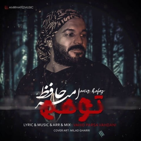 امیر حافظ توهم